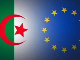 Bras de Fer Commercial : L'Union Européenne Défie l'Algérie